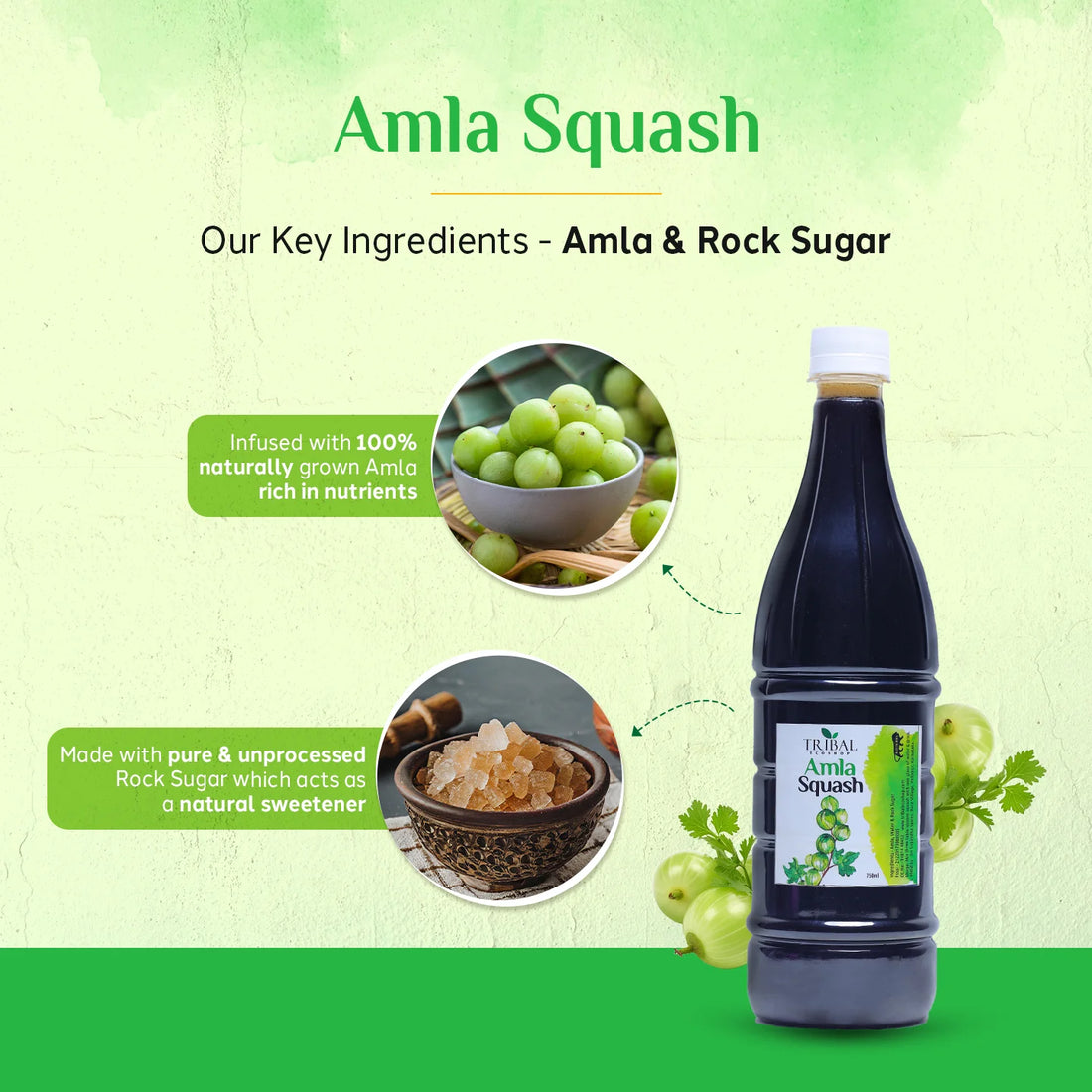 Herbal Healthy Squash Combo by Tribal Eco Shop — Complete Ayurvedic Herbal Squash Collection | 6 Varieties