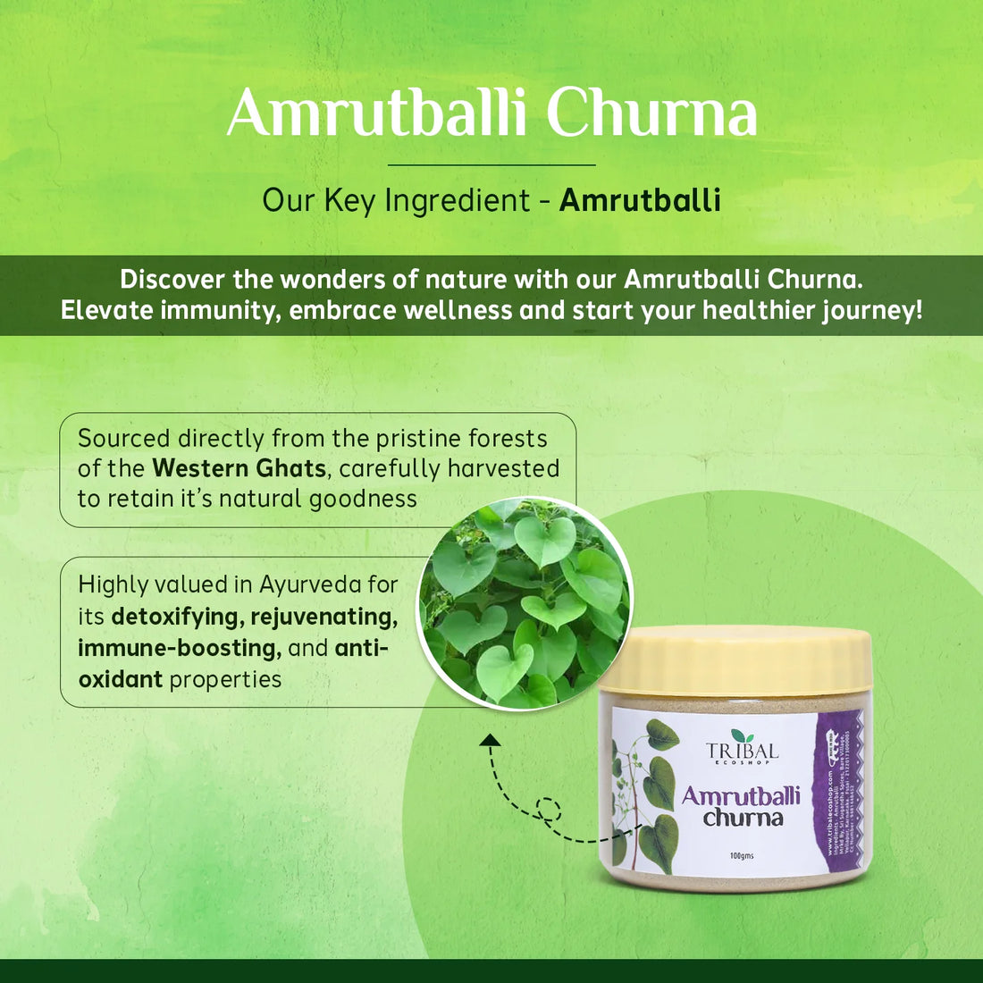 Amruthballi Churna 100g | Guduchi Powder | Ayurvedic Immunity Booster