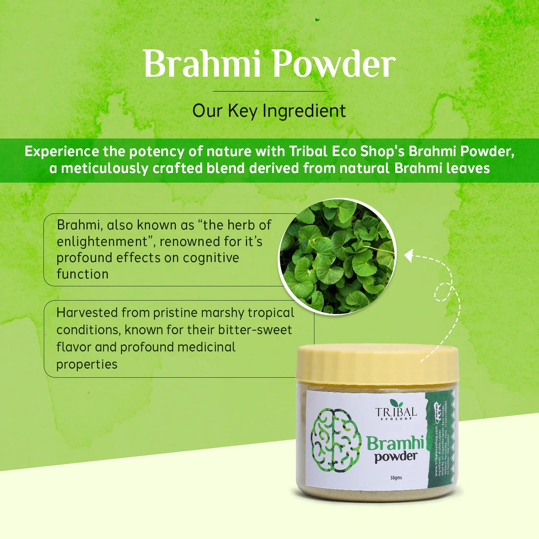 Brahmi Powder 50g | Pure Ayurvedic Brain Tonic | Memory & Focus Booster | Stress Relief & Mental Clarity