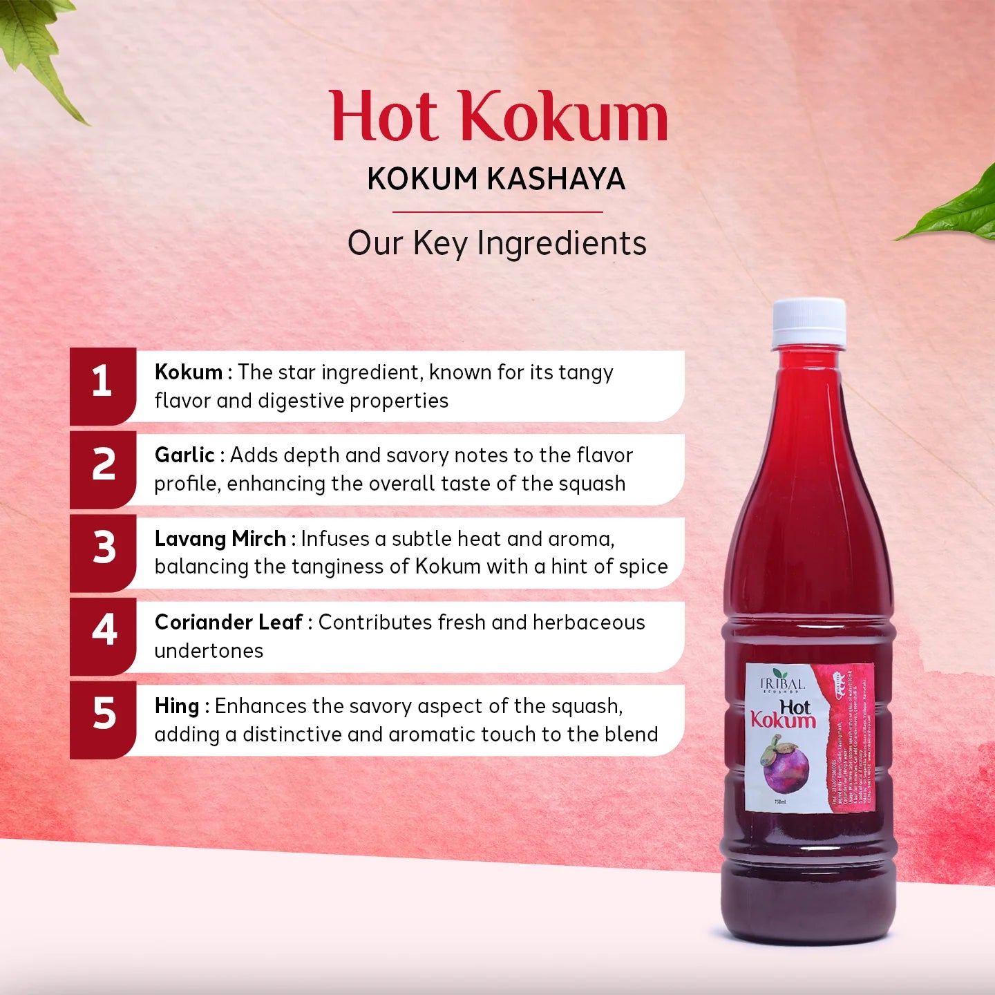 Kokum Kashaya | Hot Kokum Herbal Drink Mix for Digestion & Immunity