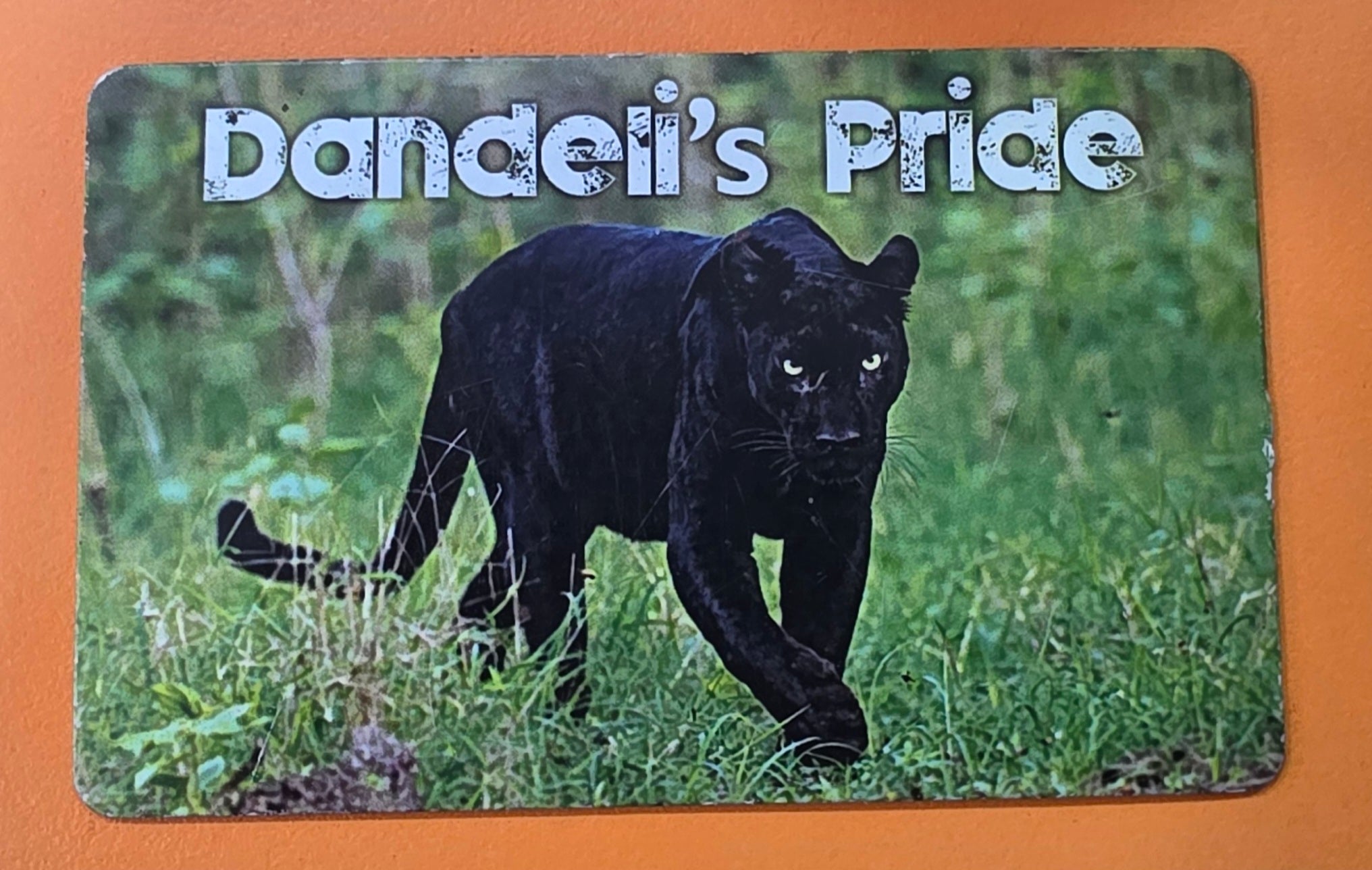 Dandeli Fridge Magnets set of 5