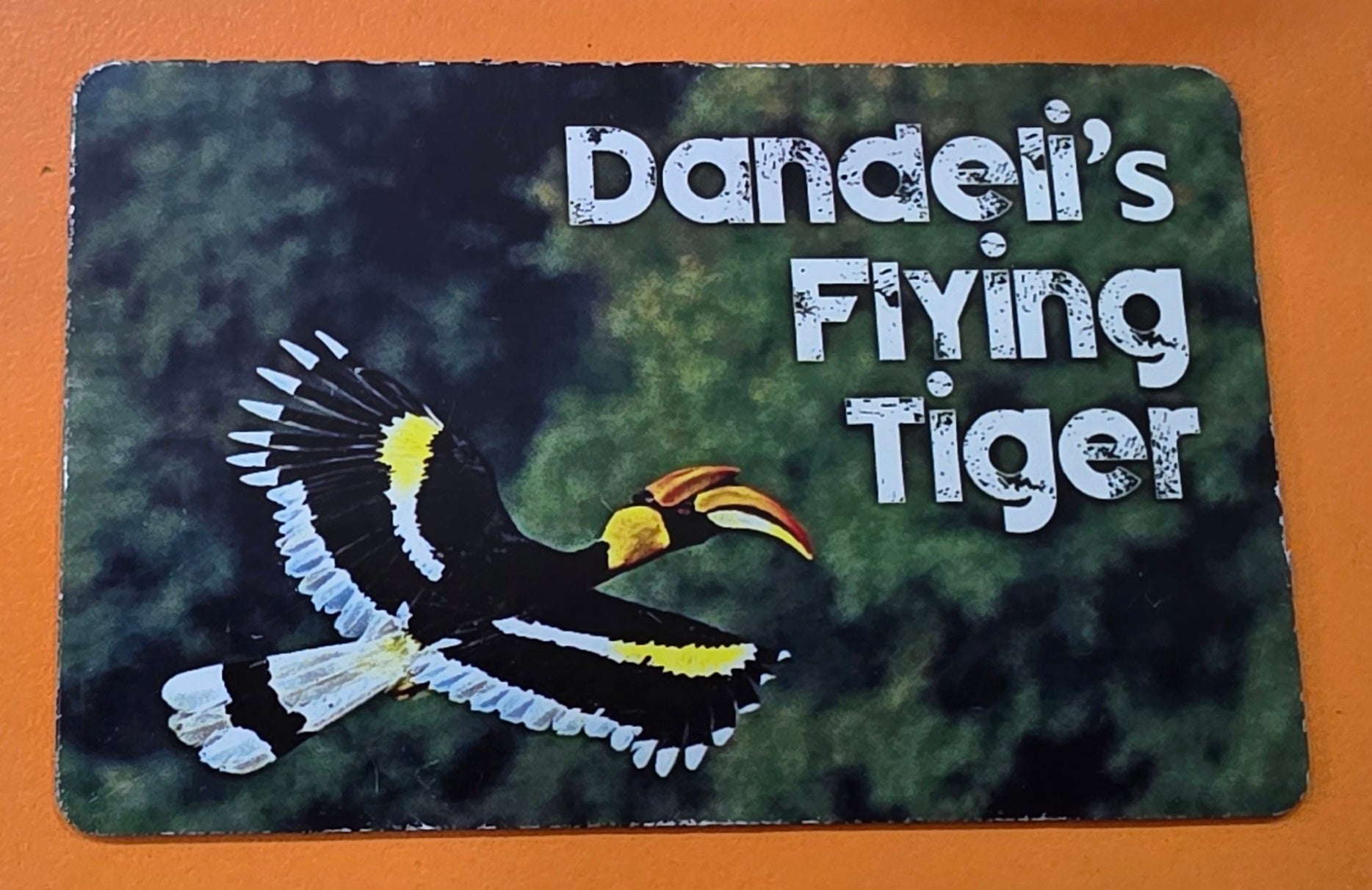 Dandeli Fridge Magnets set of 5