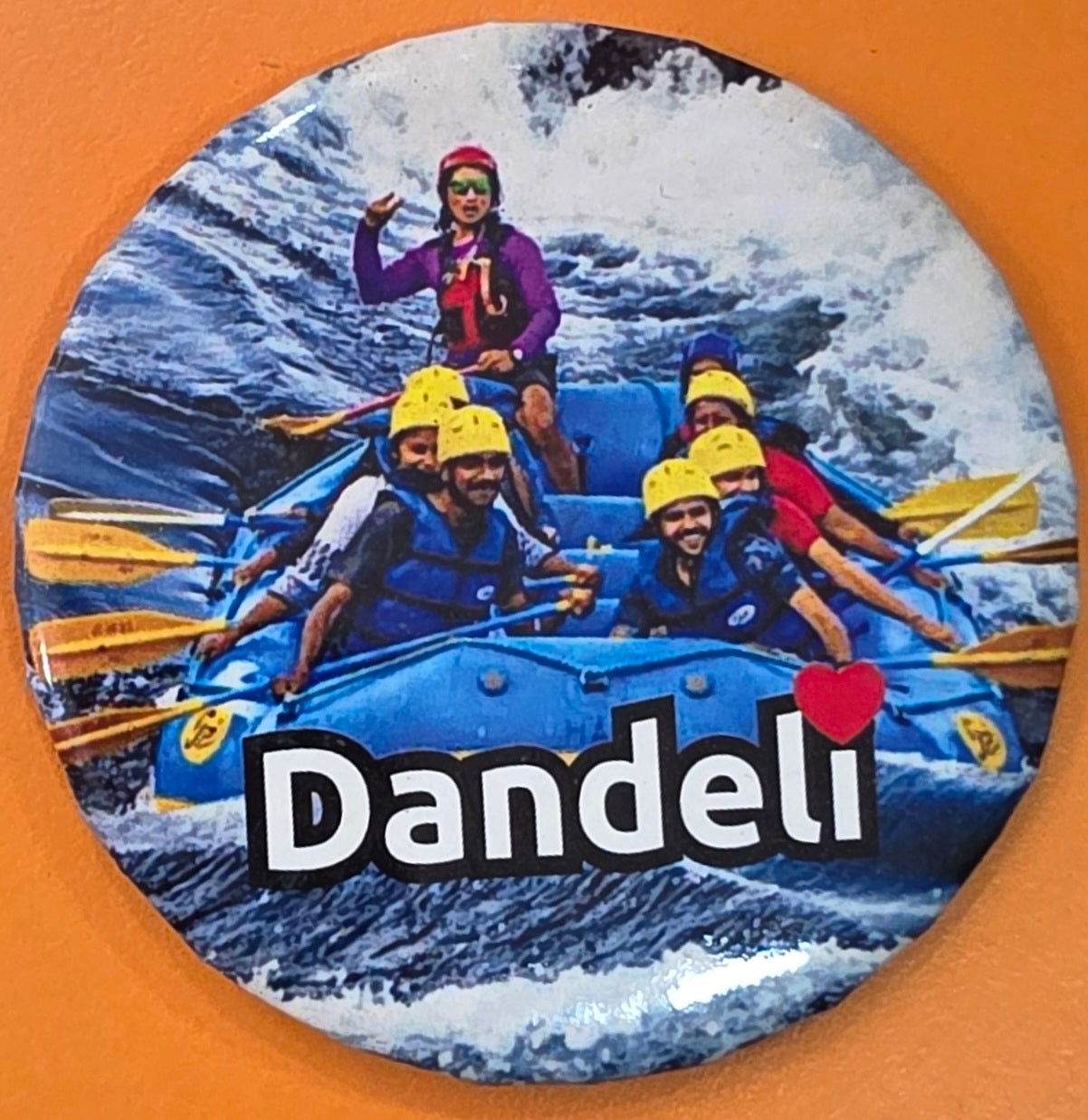 Dandeli Fridge Magnets set of 5