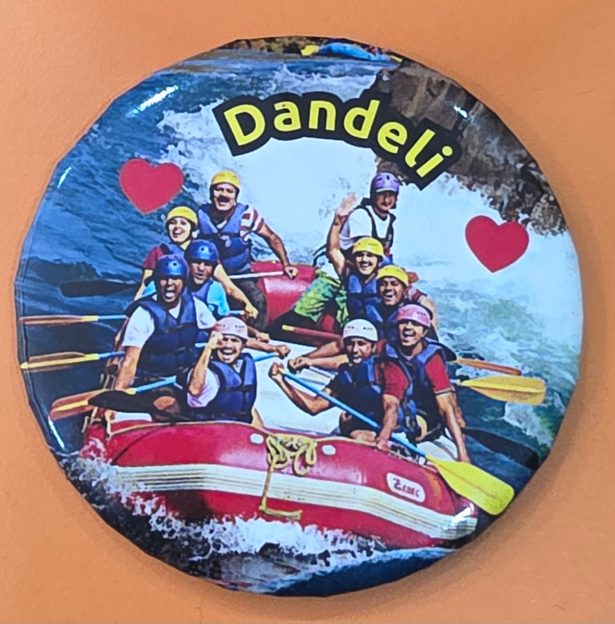 Dandeli Fridge Magnets set of 5