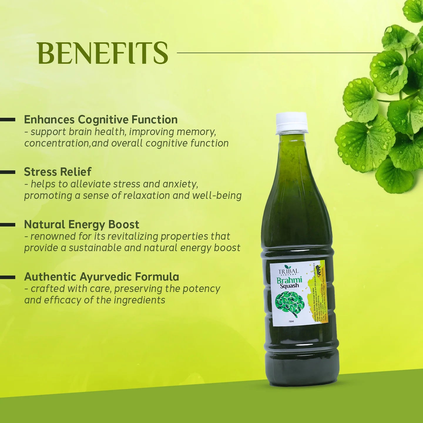 Organic Herbal Brahmi Squash