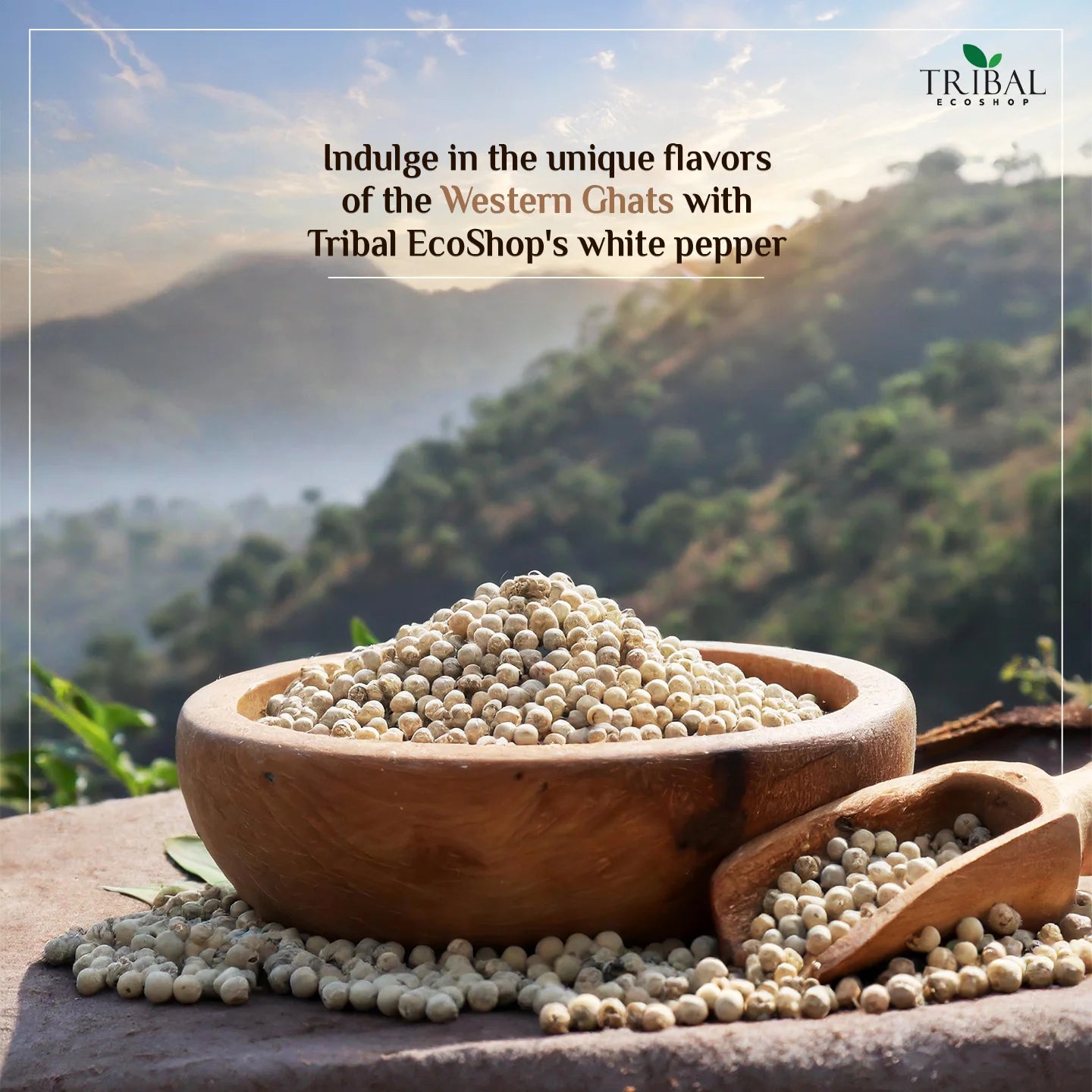 White Pepper 50g | Mild & Aromatic Spice for Cooking & Digestion