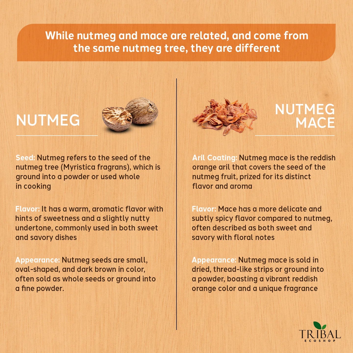 Nutmeg 50g | Aromatic Spice for Digestion & Wellness