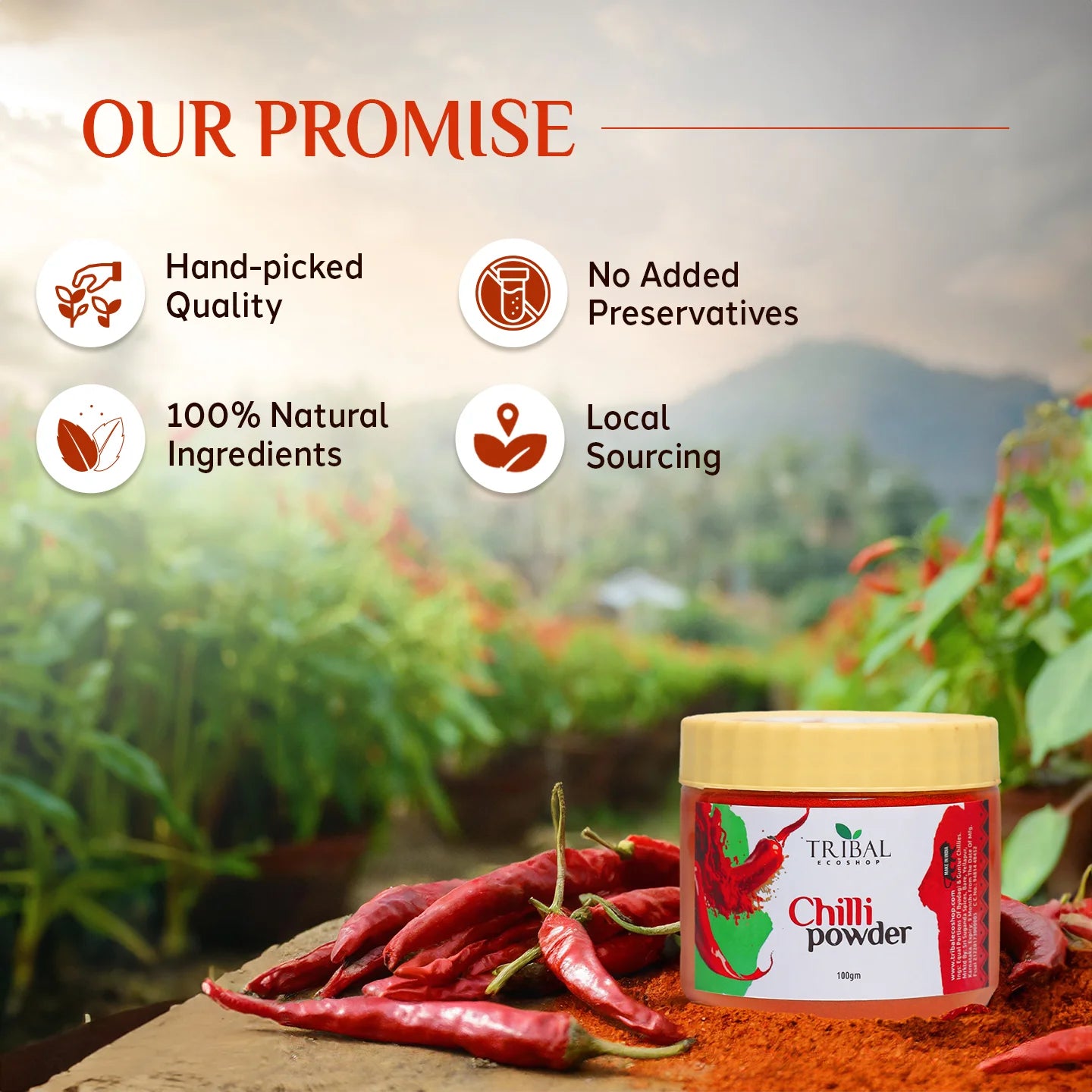 Chilli Powder 100g | Authentic Malnad Chilli | Pure & Aromatic Spice for Cooking