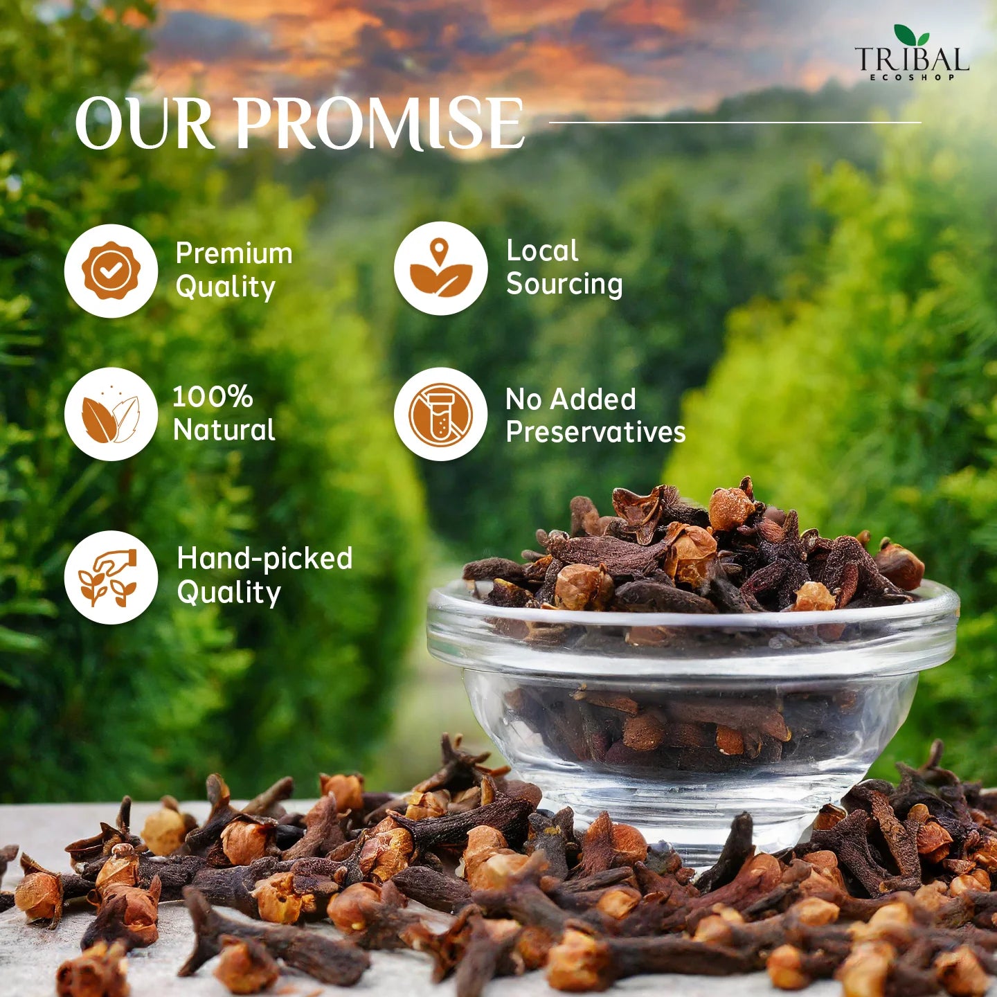 Lavanga 50g | Premium Cloves for Oral Health & Antioxidant Benefits | Rich in Eugenol