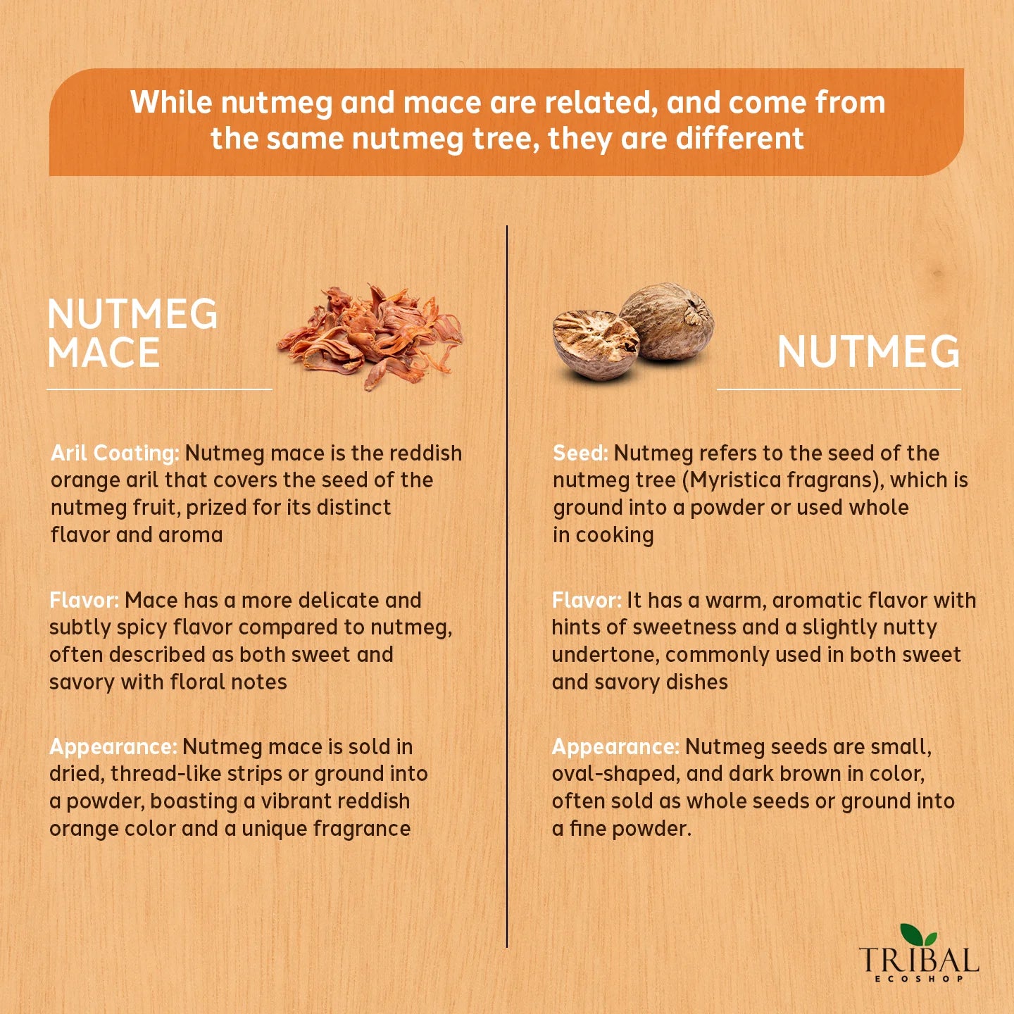 Nutmeg Mace 15g | Premium Javitri | Aromatic Spice for Cooking & Wellness