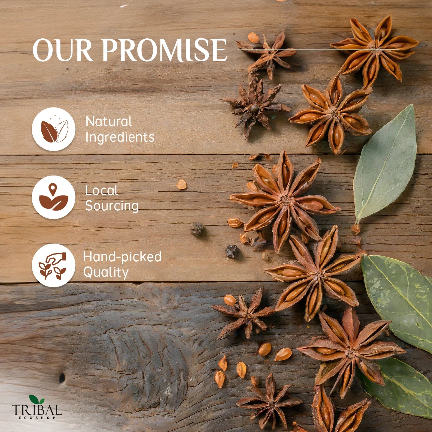 Star Anise 50g | Premium Whole Star Anise Spice | Aromatic & Flavorful