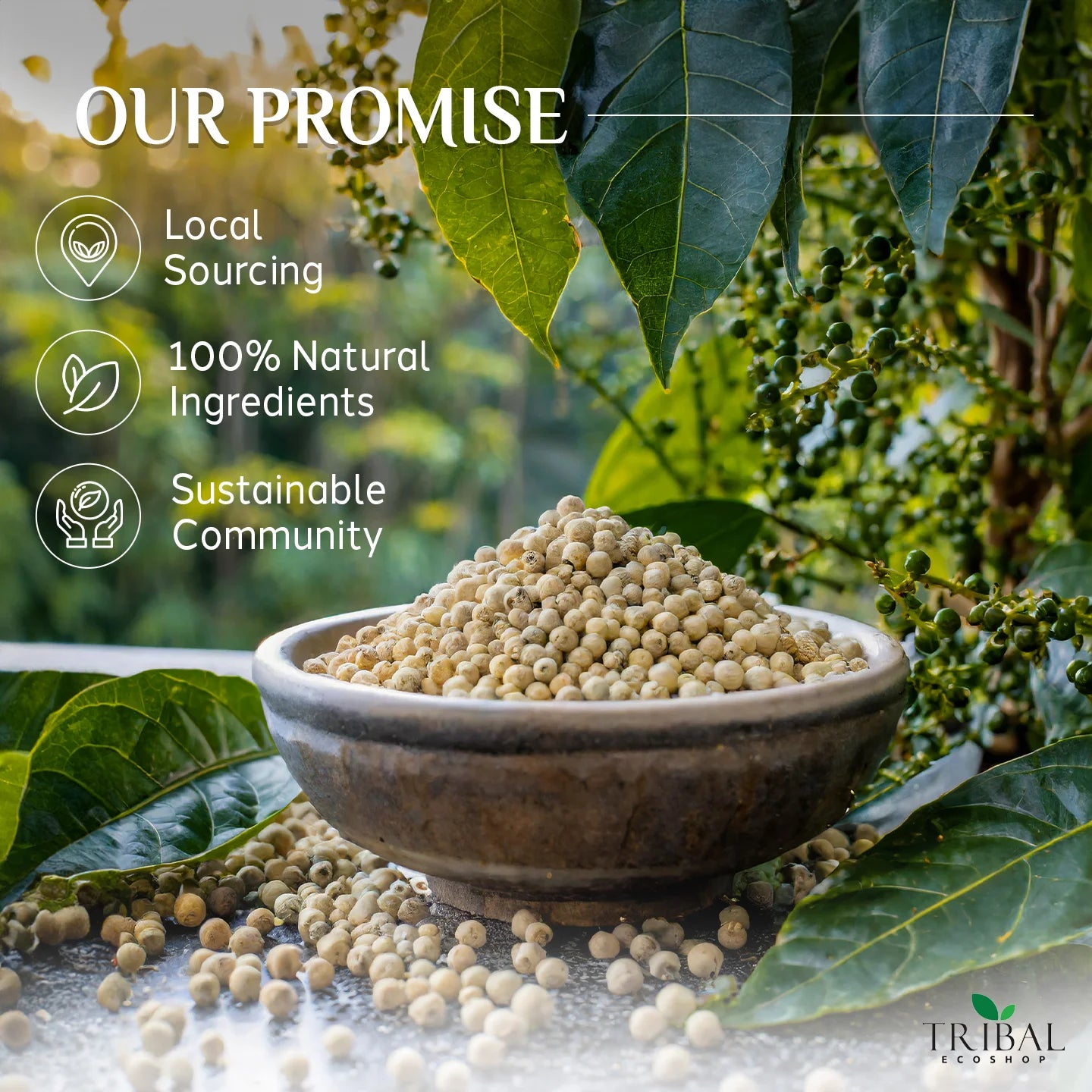 White Pepper 50g | Mild & Aromatic Spice for Cooking & Digestion