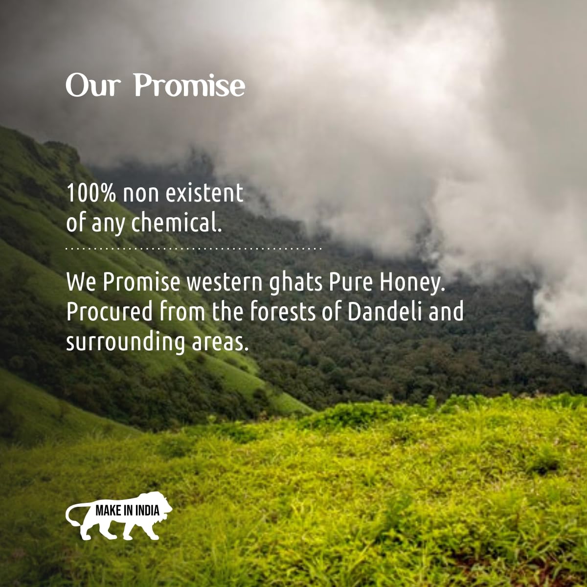 100% Pure Honey – 1kg | Raw & Unprocessed Natural Honey from Western Ghats | Lab-Tested