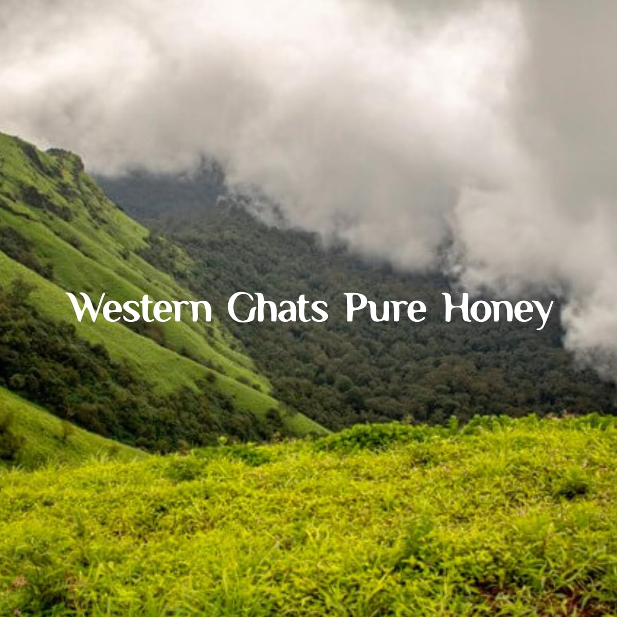 100% Pure Honey – 1kg | Raw & Unprocessed Natural Honey from Western Ghats | Lab-Tested