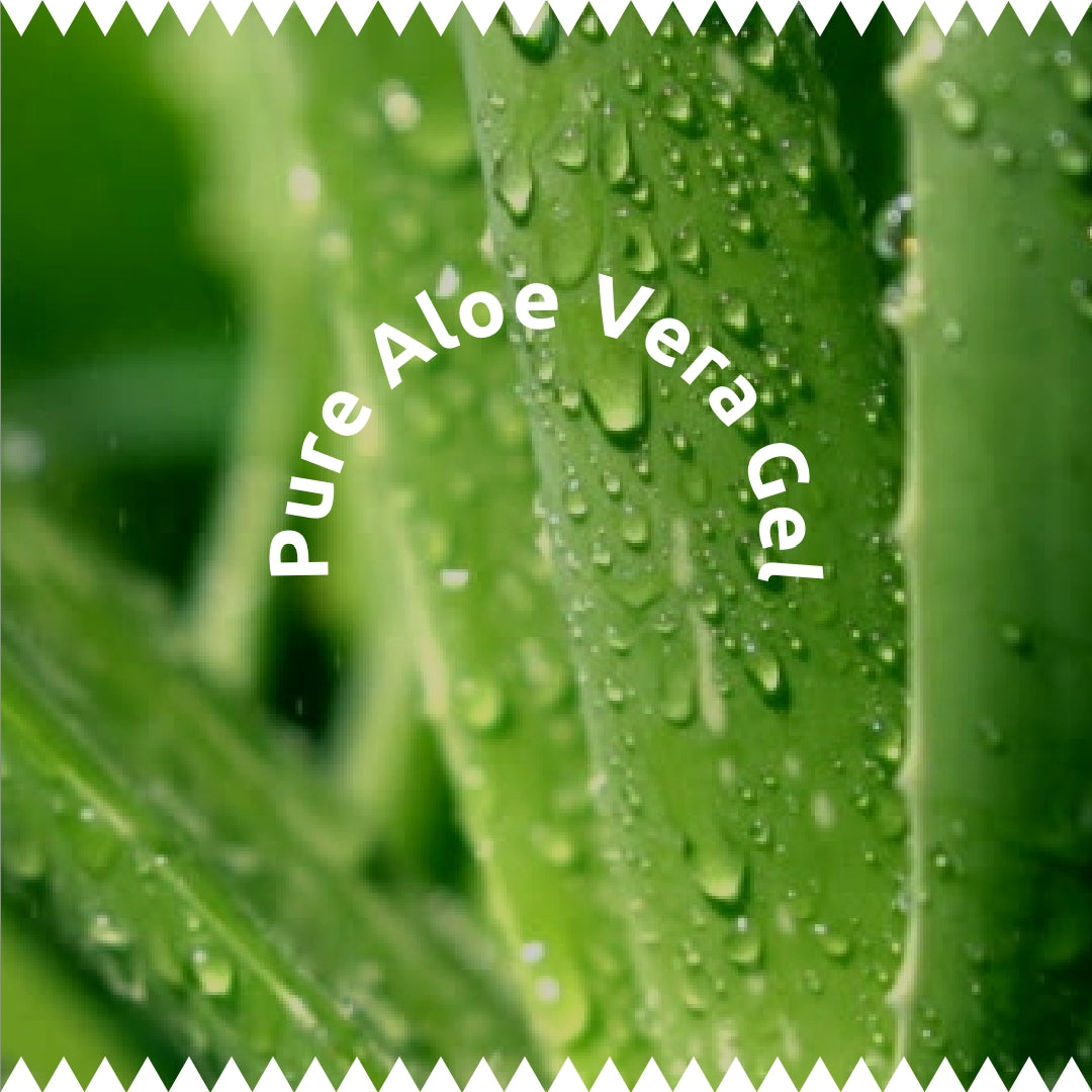 Aloe Vera Gel 150g | 100% Pure & Natural | Skin & Hair Moisturizer