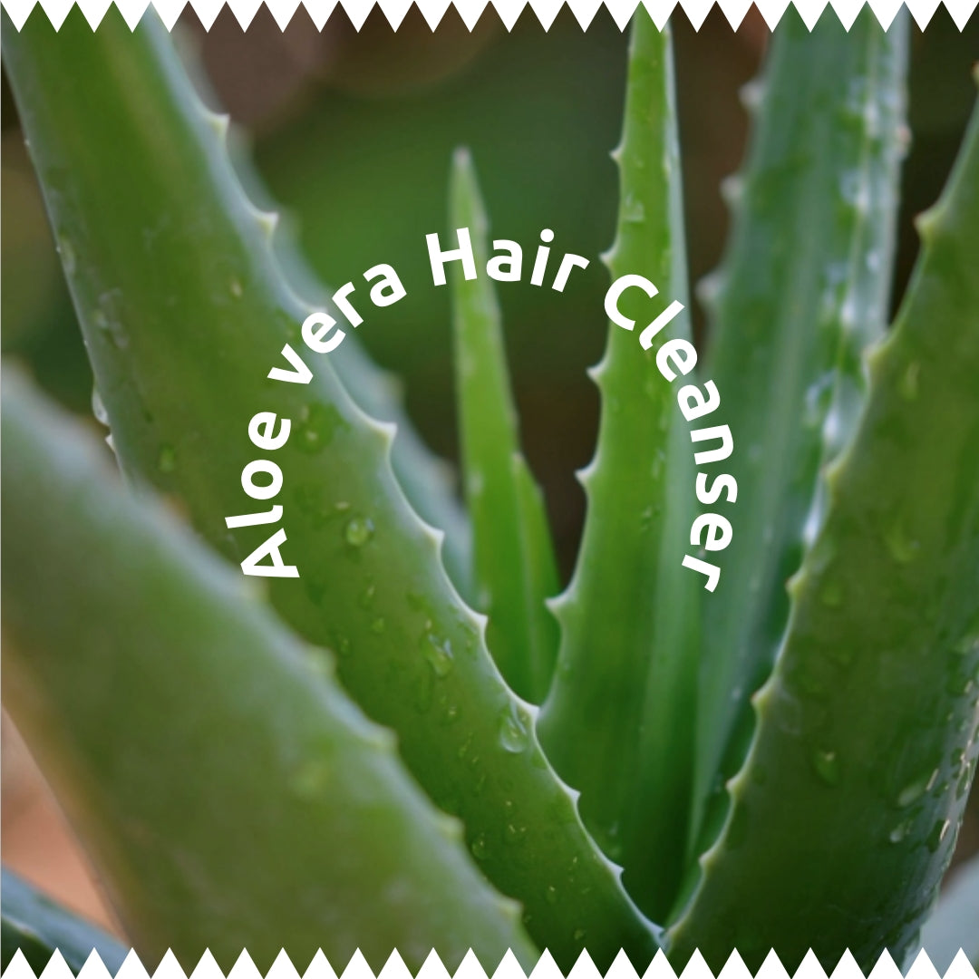 Aloe Vera Cleanser 200ml | Hydrating & Nourishing Hair Cleanser | Controls Dandruff & Hair Fall | Promotes Soft, Smooth & Healthy Hair