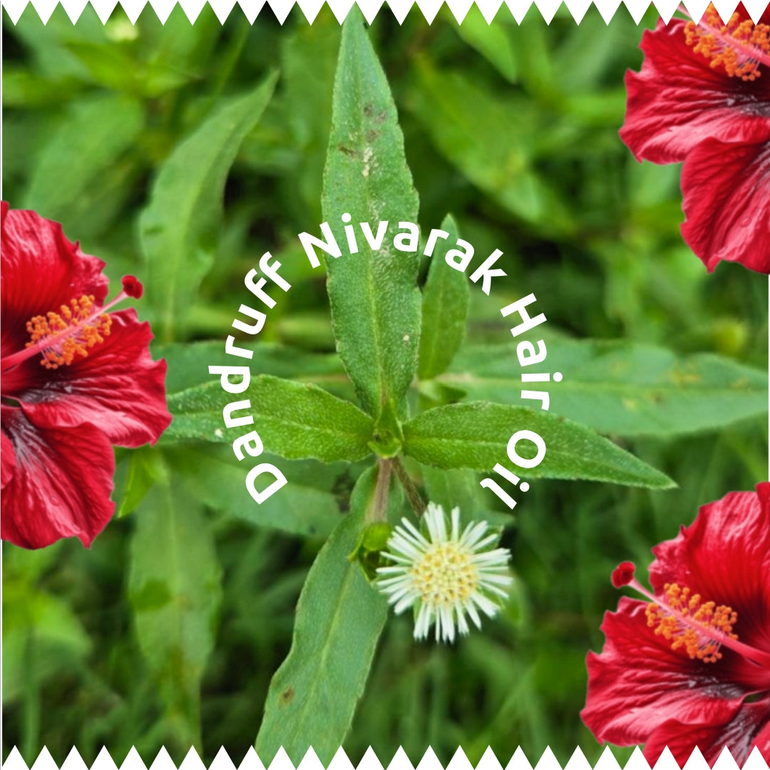 Dandruff Nivarak by Tribal Eco Shop – Bhringraj, Amla & Hibiscus Ayurvedic Scalp Oil | Scalp Nourishment & Hair Wellness | 100ml