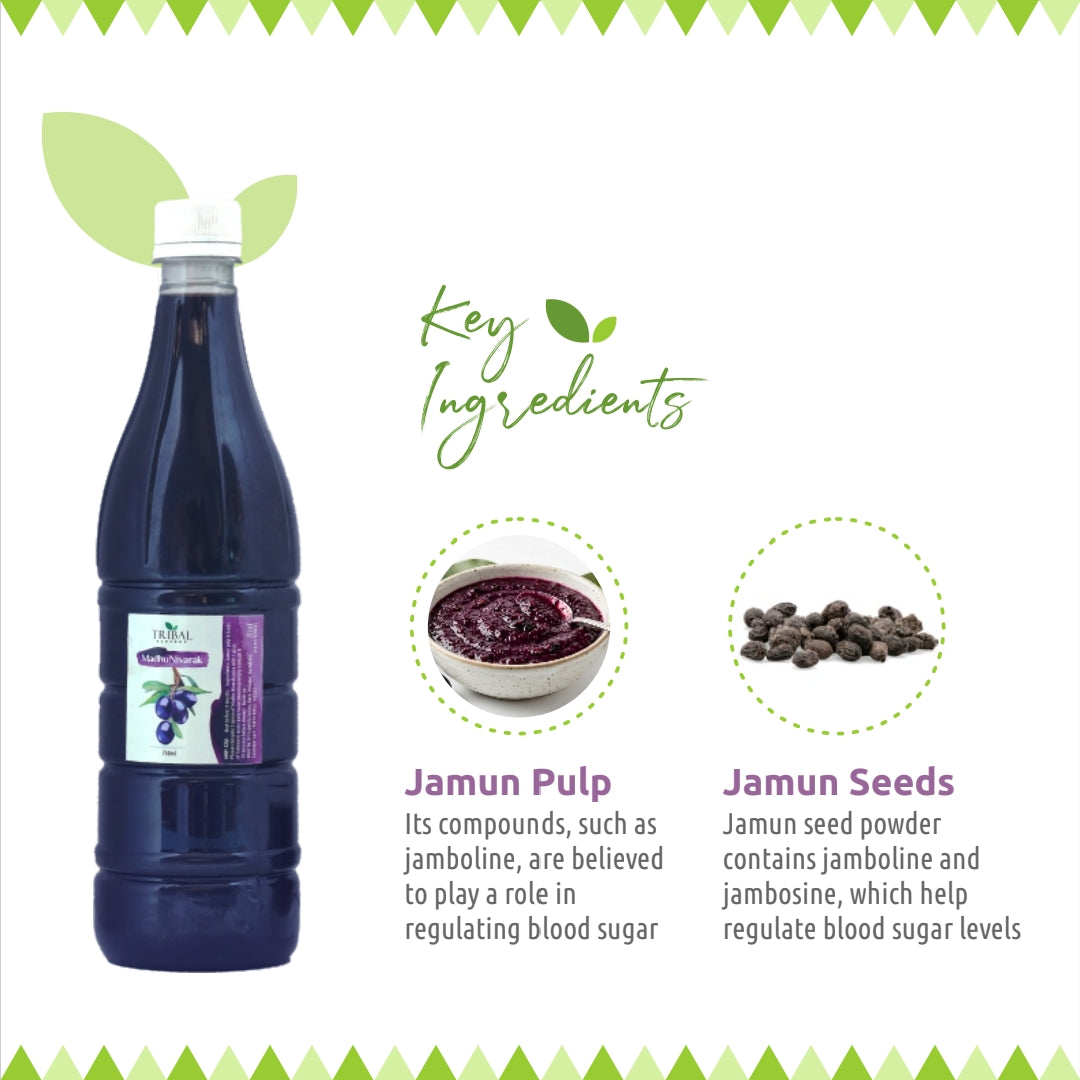 Madhunivarak & Madhunashini Combo by Tribal Eco Shop – Jamun-Based Ayurvedic Herbal Duo | Liquid & Powder | 2-Month Wellness Course