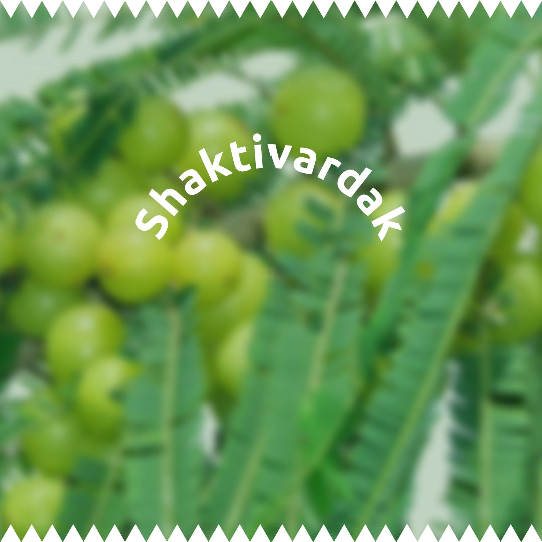 Shaktivardak by Tribal Eco Shop – Shatavari, Ashwagandha & Amla Ayurvedic Herbal Leha | Daily Vitality & Physical Wellness | 700g