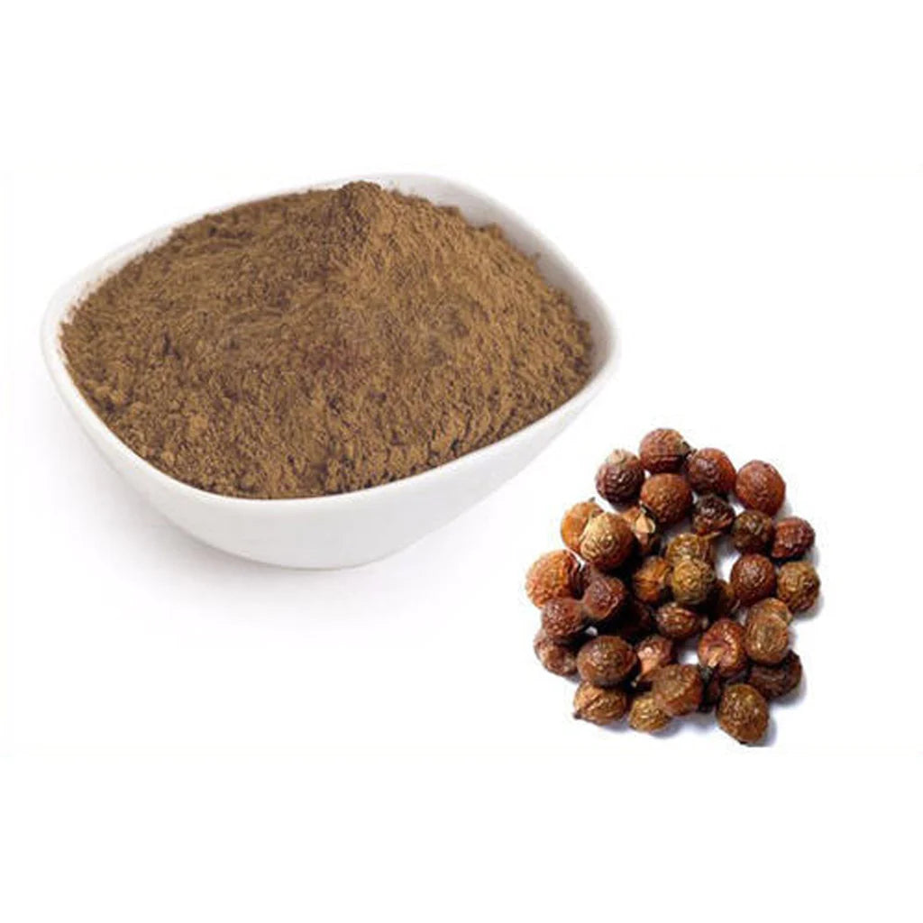 soapnut powder