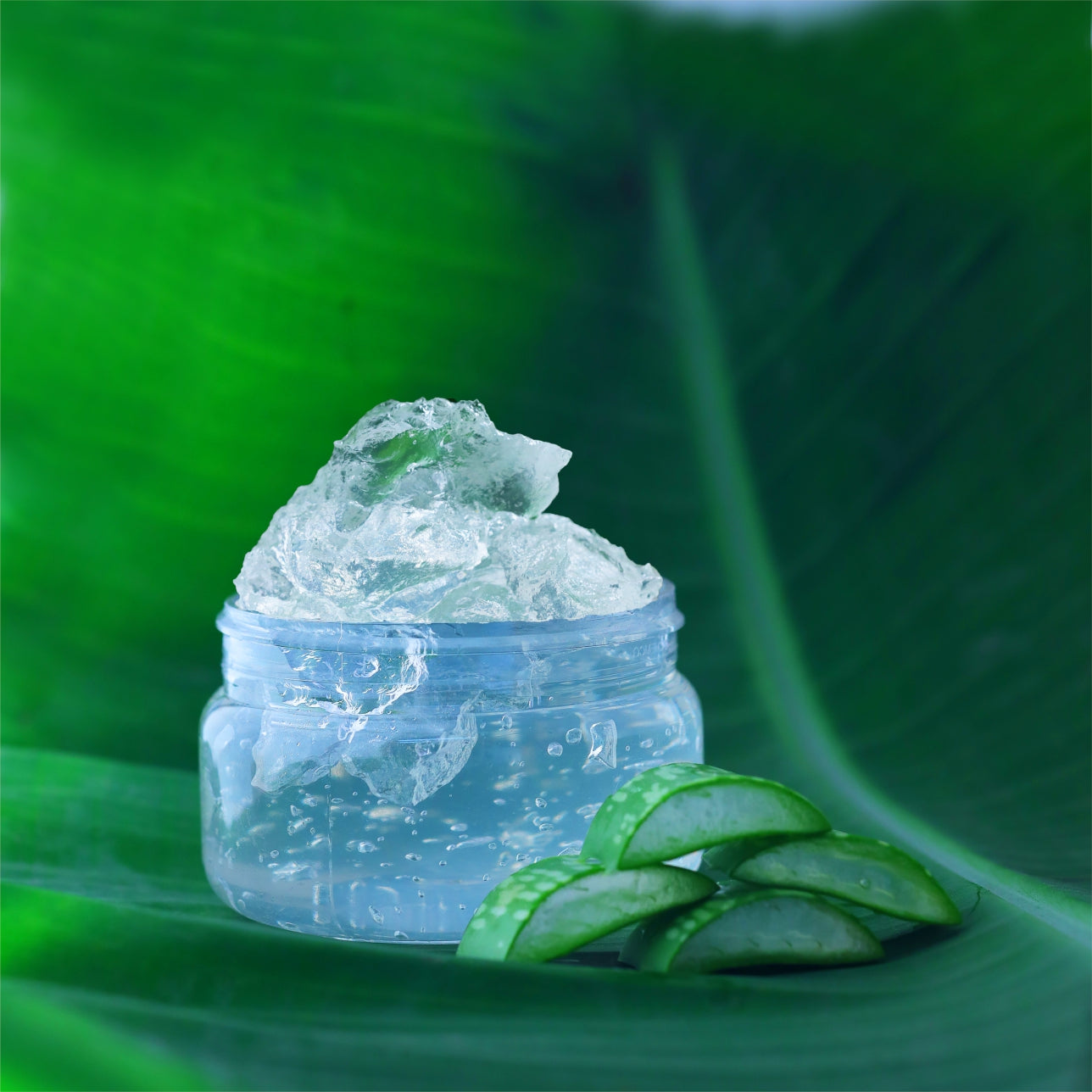 aloevera