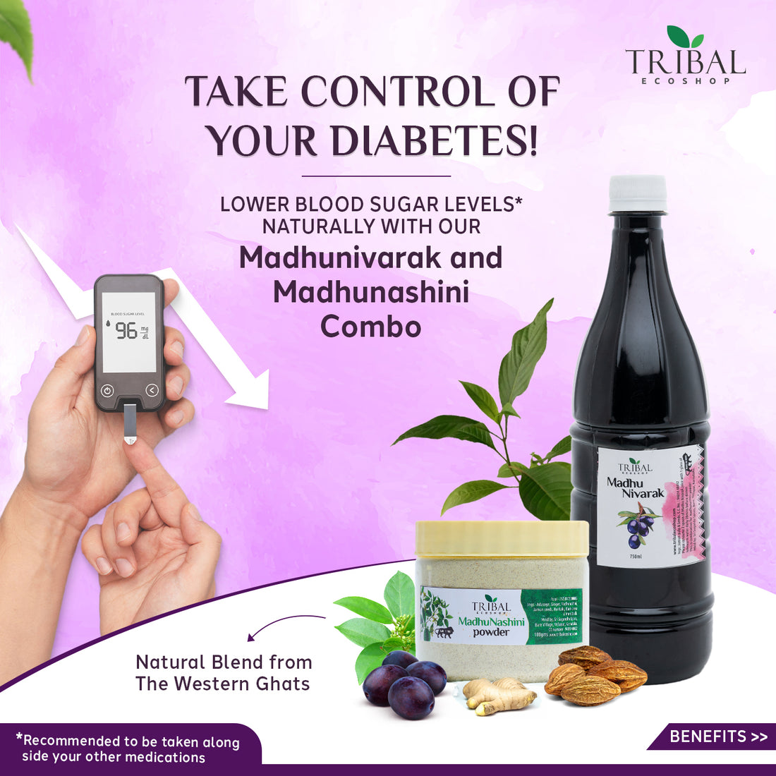 Madhunivarak &amp; Madhunashini Combo | Ayurvedic Sugar Control Powder &amp; Squash | Jamun &amp; Herbal Formula