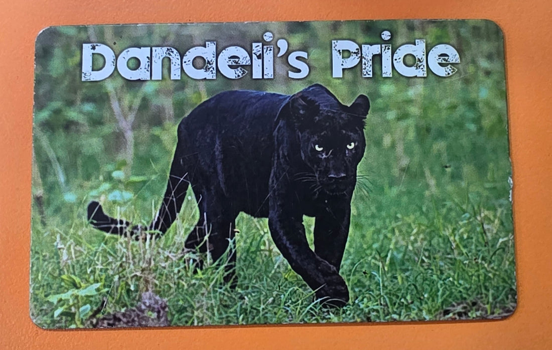 Dandeli Fridge Magnets set of 4