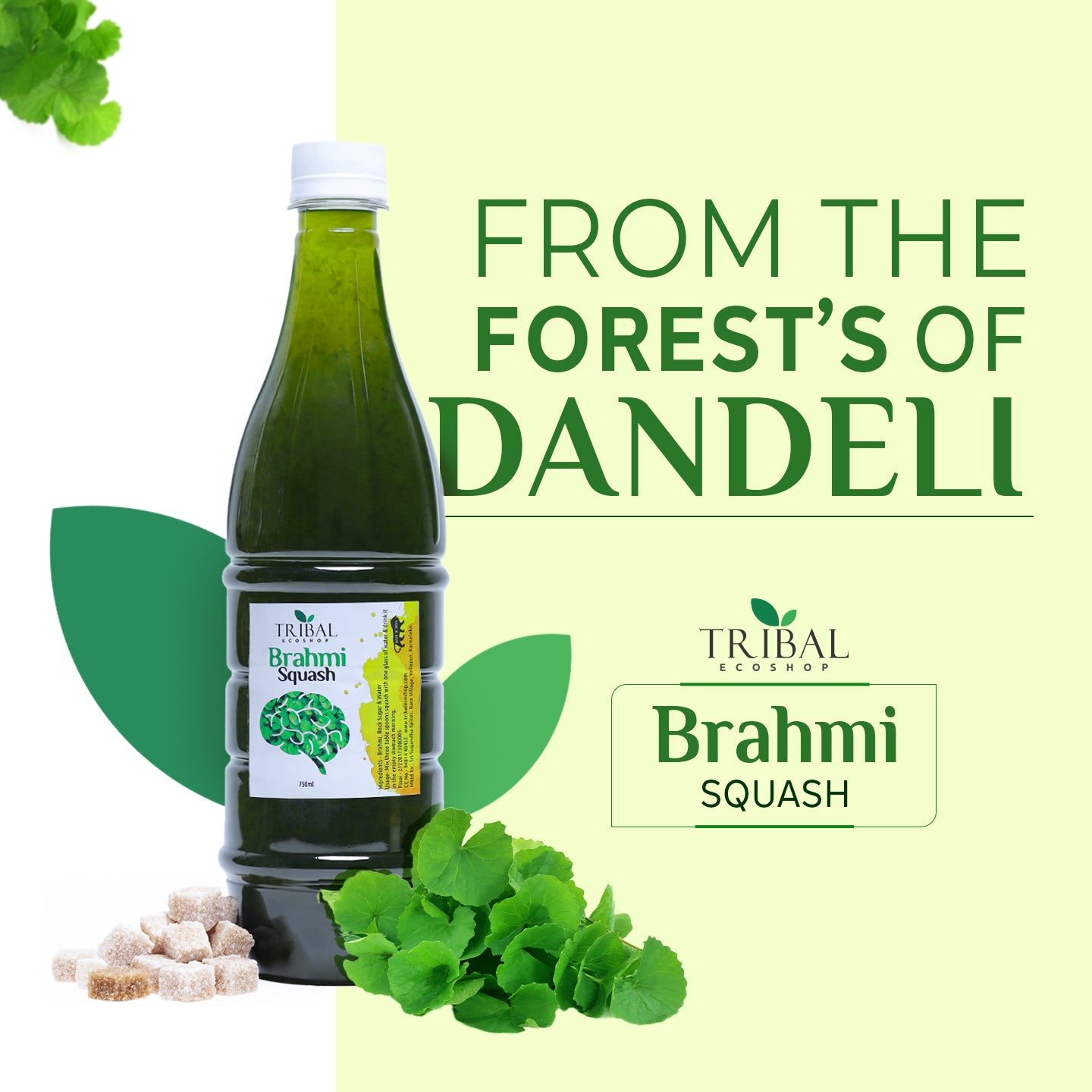 Brahmi Squash 750ml | Natural Brain Tonic &amp; Memory Booster | Herbal Refreshing Drink