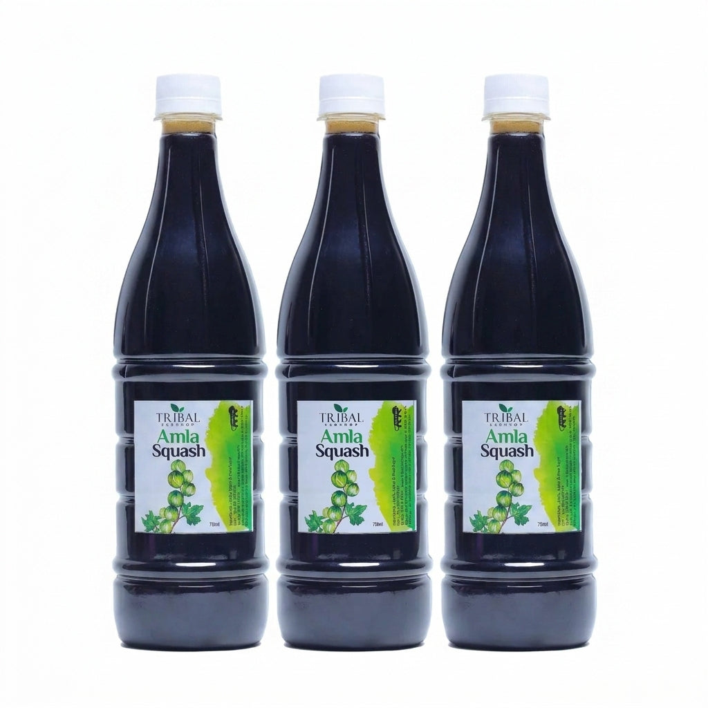 Amla Squash by Tribal Eco Shop — Indian Gooseberry &amp; Vitamin C Squash | 750ml