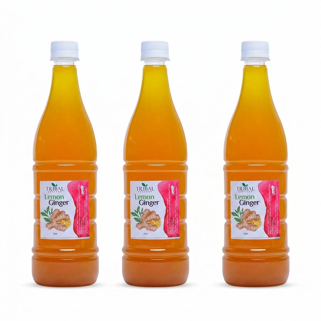 Lemon Ginger Squash by Tribal Eco Shop — Natural Lemon &amp; Ginger Squash | 750ml