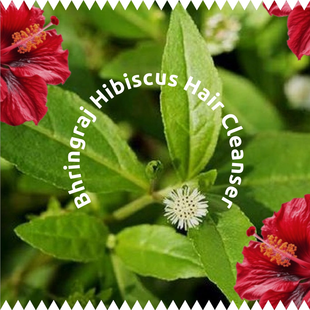 Bhringraj &amp; Hibiscus Hair Cleanser 200ml | Ayurvedic Shampoo for Hair Fall Control &amp; Hair Growth