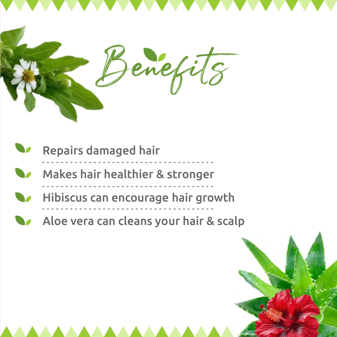 Bhringraj &amp; Hibiscus Hair Cleanser 200ml | Ayurvedic Shampoo for Hair Fall Control &amp; Hair Growth