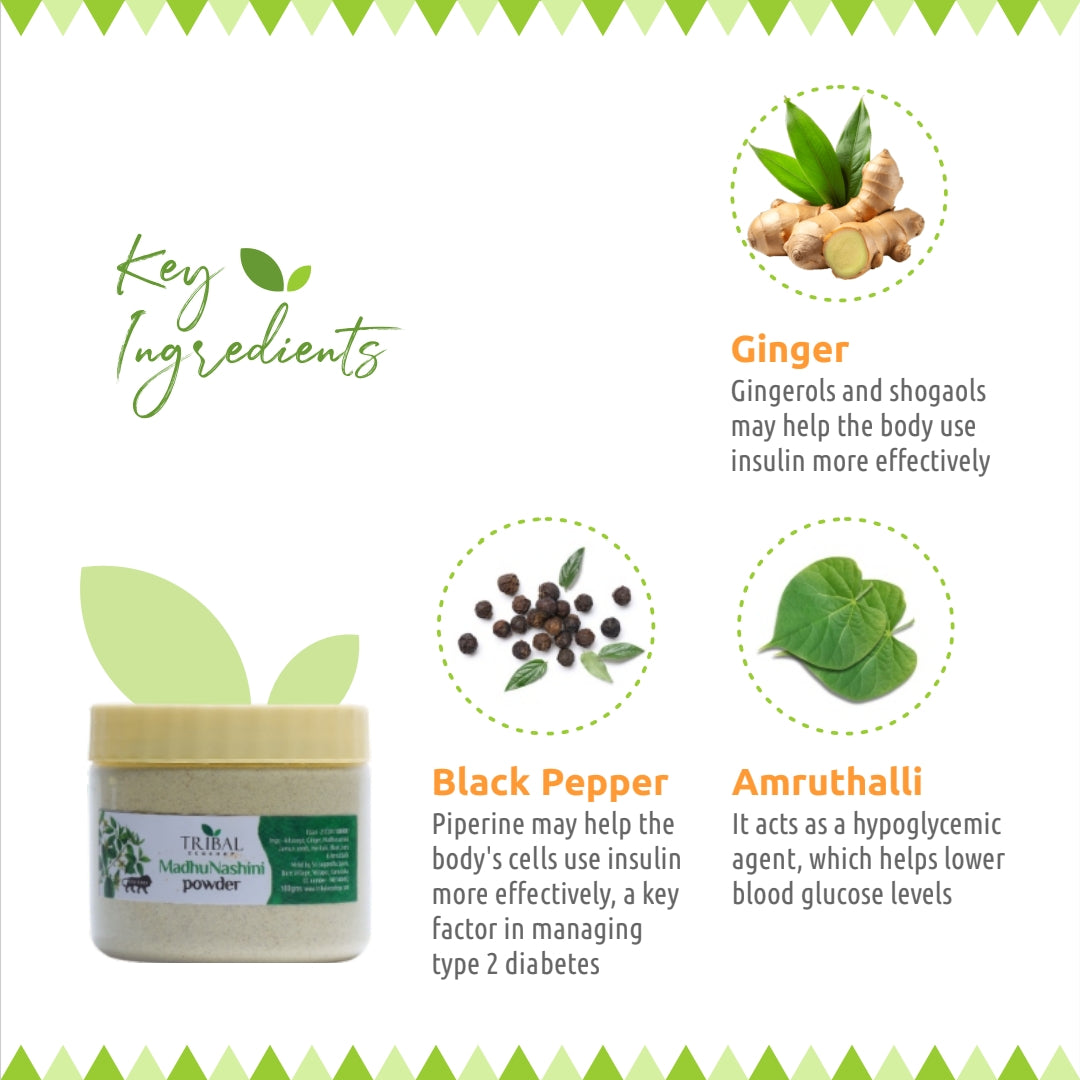 Madhunivarak &amp; Madhunashini Combo by Tribal Eco Shop – Jamun-Based Duo | Liquid &amp; Powder | 2-Month Wellness Course